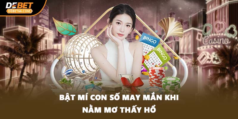 Bật mí con số may mắn khi nằm mơ thấy hổ
