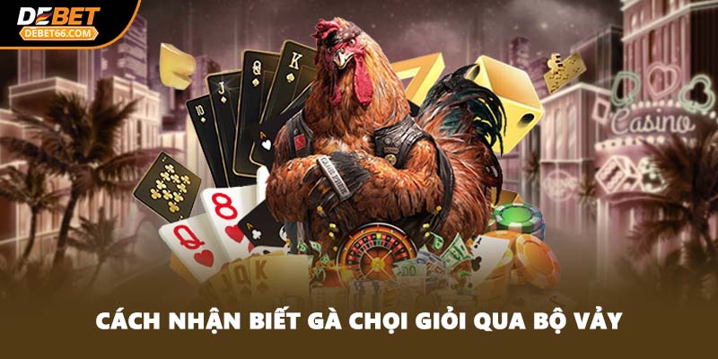 Cách nhận biết gà chọi giỏi qua bộ vảy